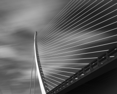 1_Brige-Harp